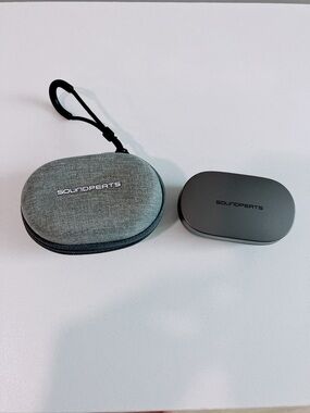 SOUNDPEATS H1 Earbuds with Gray Carry Case & Charging Case